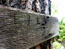 photo thumbnail #9