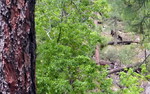 photo thumbnail #7