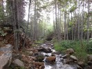 photo thumbnail #10