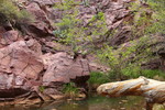 photo thumbnail #2