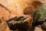 photo thumbnail #12