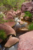 photo thumbnail #14