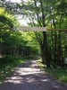 photo thumbnail #2