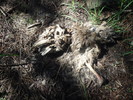 photo thumbnail #7