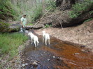 photo thumbnail #13