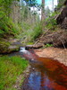 photo thumbnail #14