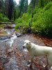 photo thumbnail #15