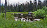 photo thumbnail #3