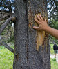 photo thumbnail #11
