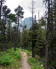 photo thumbnail #13