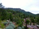 photo thumbnail #14