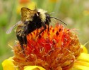 photo thumbnail #15