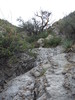 photo thumbnail #14