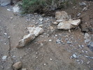 photo thumbnail #11