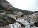 photo thumbnail #13