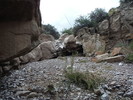 photo thumbnail #15
