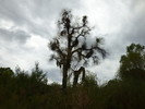 photo thumbnail #8