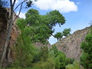 photo thumbnail #10