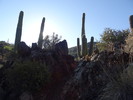 photo thumbnail #9