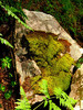 photo thumbnail #11