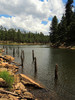 photo thumbnail #14