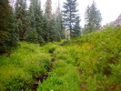 photo thumbnail #2