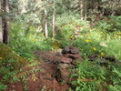 photo thumbnail #3