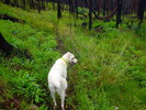 photo thumbnail #7