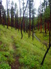 photo thumbnail #8