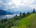 2014-07-19 :2: Running Eagle Falls Nature Trail :: tibber