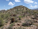 photo thumbnail #6