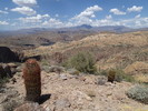 photo thumbnail #7