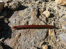 photo thumbnail #9