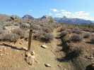 photo thumbnail #10