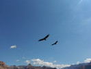 photo thumbnail #15