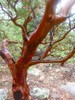 photo thumbnail #15