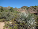 photo thumbnail #1