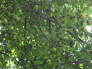 Featured Full Photo
