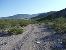 photo thumbnail #7