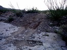 photo thumbnail #5