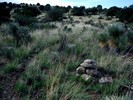 photo thumbnail #10