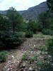 photo thumbnail #14