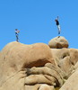 photo thumbnail #7