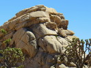 photo thumbnail #10