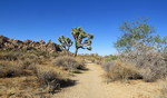 photo thumbnail #12