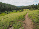 photo thumbnail #1