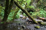 photo thumbnail #1
