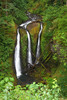 Featured Full Photo
