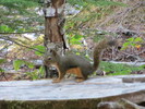 photo thumbnail #1