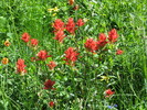 photo thumbnail #10